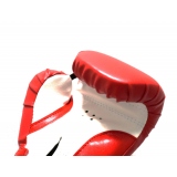 Перчатки боксерские Ronin Leader, 12 унций, цвет красный с белыми полосами