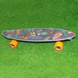 Скейтборд пластиковый Fishboard 23"