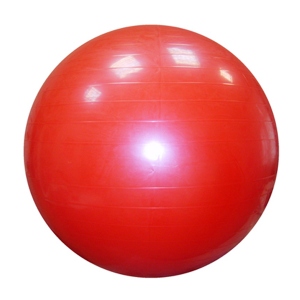 Мяч для фитнеса гладкий 65см до 130кг 