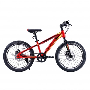 Велосипед горный Krypton, 20", цвет красный